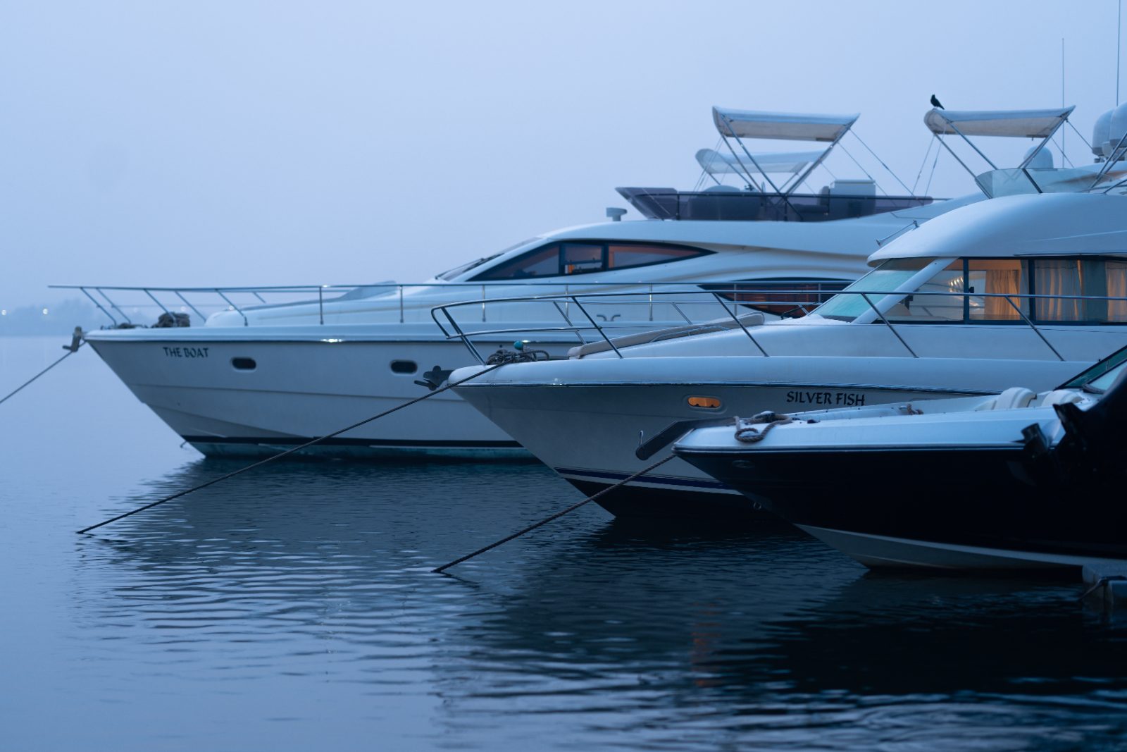 Three motor yachts alongside at first light, lines run to the quay
