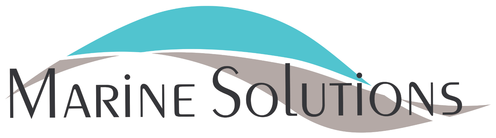 Marine Solutions Group